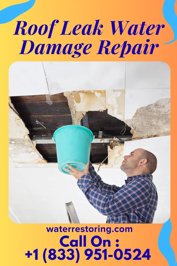 Roof Leak Water Damage Repair in Princeton, IA
