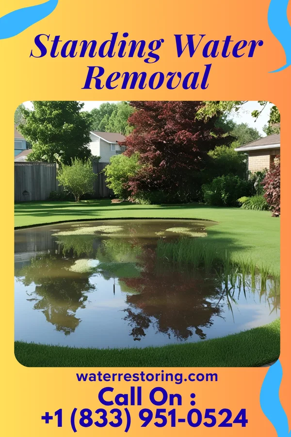 Standing Water Removal in Princeton, IA